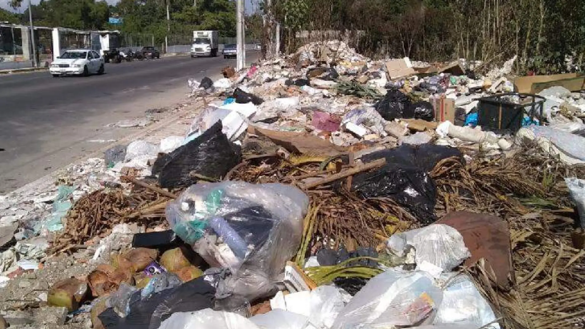 Basura Acapulco zona diamante